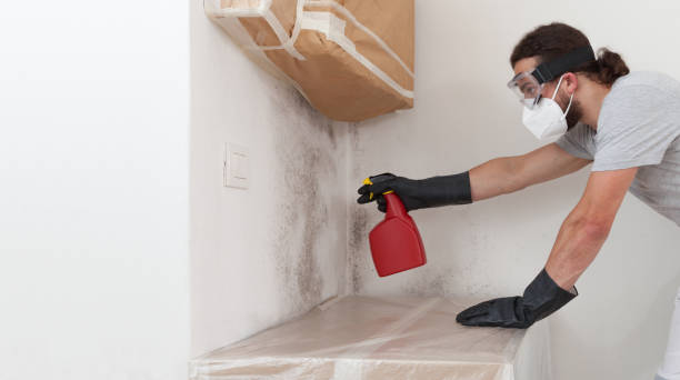 Professional Crawl Space Mold Remediation technician working in Leander, TX